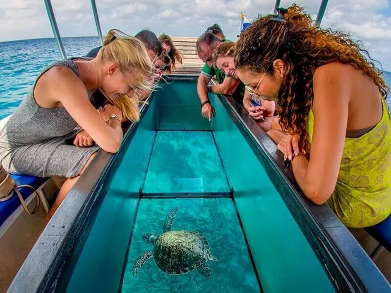 Glass Bottom Boat In Punta Cana