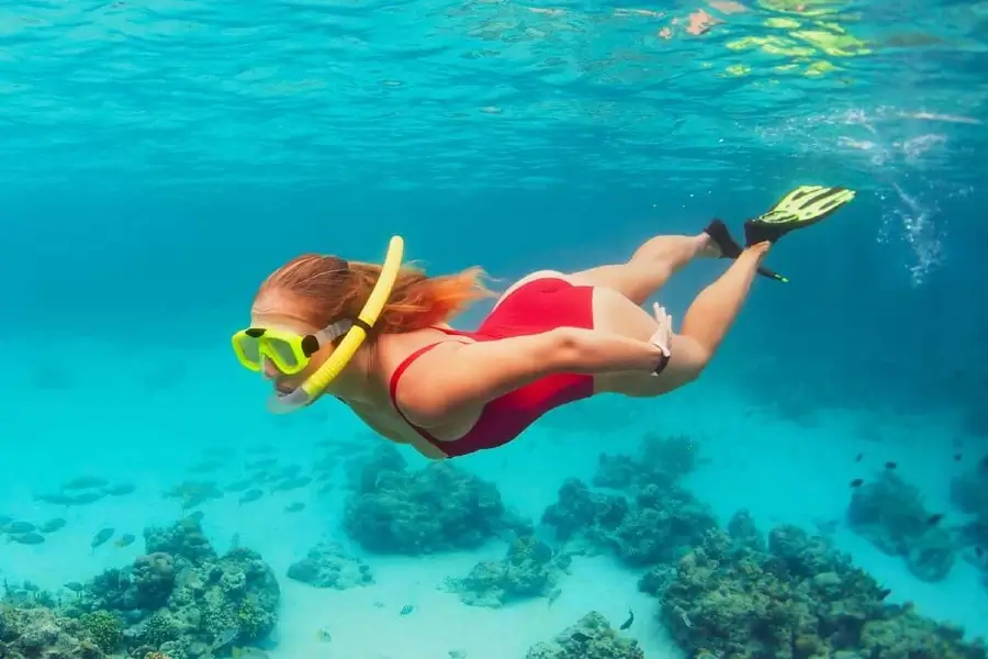 Snorkeling on Catalina Island