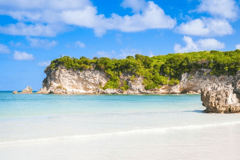 The best tours and activities in Punta Cana for 2023 by Caribbean Adventure Safari The Best Tours And Activities In Punta Cana For 2023 By Caribbean Adventure Safari