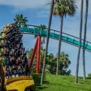 The Best Tours And Activities In Punta Cana For 2023 By Caribbean Tour Service