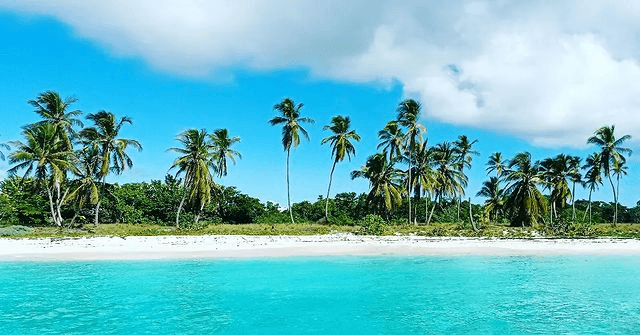 The Best Tours And Activities In Punta Cana For 2023 By Caribbean Adventure Safari